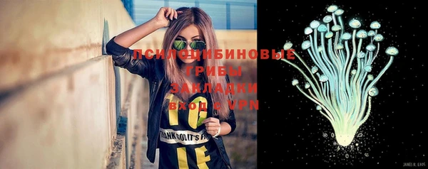 прущие крисы Бугульма