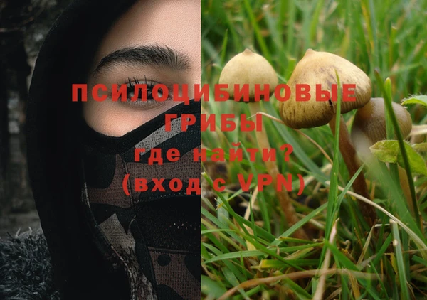 прущие крисы Бугульма