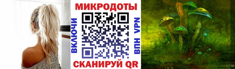 Галлюциногенные грибы Psilocybe Купить закладки Дедовск